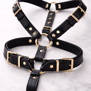 Test Leather Harness