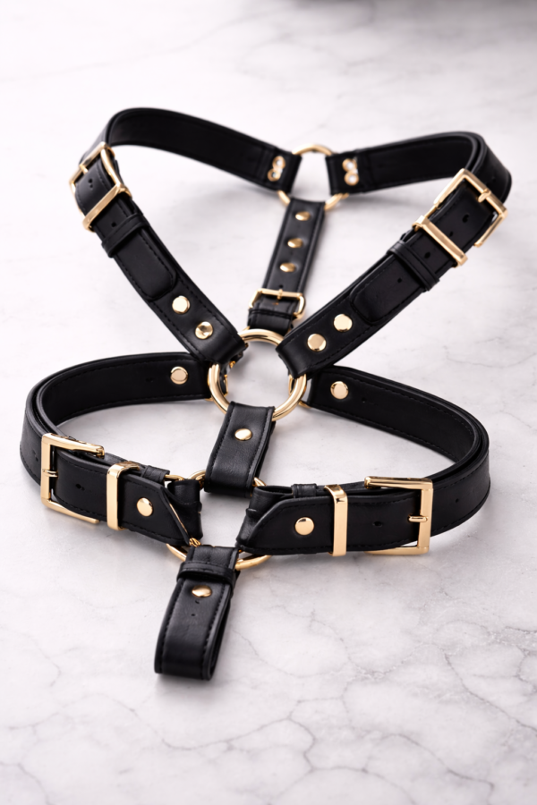 Leather Harness