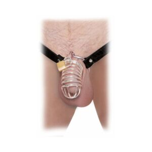 Fetish Fantasy Extreme Extreme Chastity Belt Locking Cock Cage Silver/Black — Power Play Studio