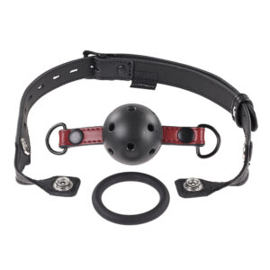 Sportsheets Saffron Interchangeable Gag with Adjustable Buckle — Power Play Studio