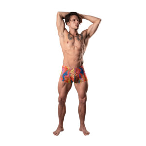 Male Power Your Lace Or Mine Pouch Short Multicolor — Power Play Studio