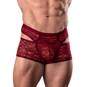 Male Power Lucifer Cutout Short Burgundy — Power Play Studio