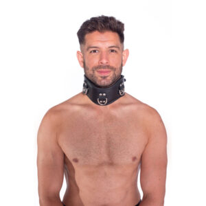 Prowler Leather Posture Collar — Power Play Studio