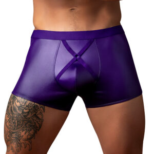 Male Power Eggplant Crossover Short Plum — Power Play Studio