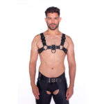 Prowler RED Bull Harness Black with Metal Fittings — Power Play Studio