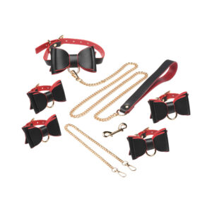 Master Series Goth Bondage Set — Power Play Studio