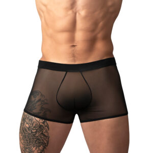 Male Power Mesh 2.0 Mini Short — Power Play Studio
