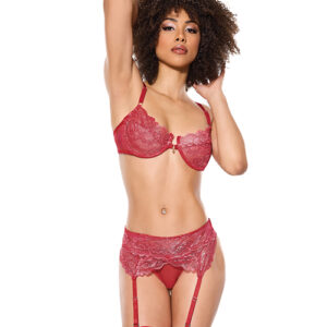 Metallic Stretch Lace Underwire Bra w/Crotchless Garter Panty – Red MD — Bra & Panty Sets at Power Play Studio