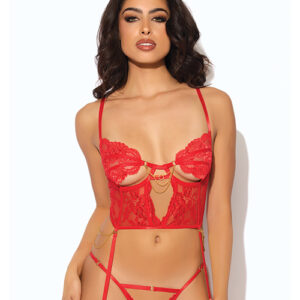 House of Desire Cecily Lace & Mesh Bustier w/Thong & Garter Straps - Red — Power Play Studio