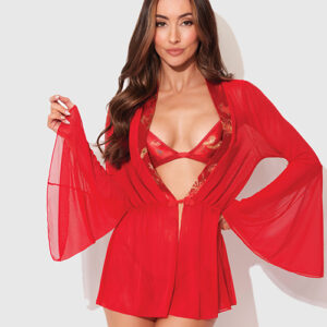 Dragon Sheer Mesh Robe w/Satin Triangle Top & G-String 3 pc Set – Red SM — Bra & Panty Sets at Power Play Studio