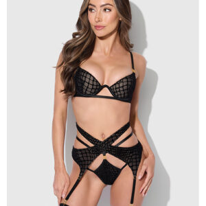 House of Desire Snake Velvet-Burnout Mesh Bra, Garter, & Backless Hipster Set - Black
