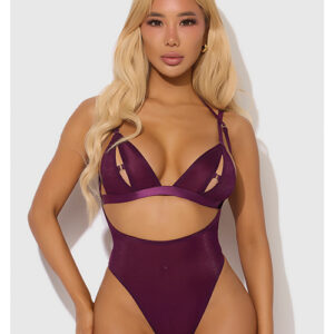 House of Desire Yasmine Shimmer Mesh Slit Cup, Backless Teddy & Bralette Set - Burgundy — Power Play Studio
