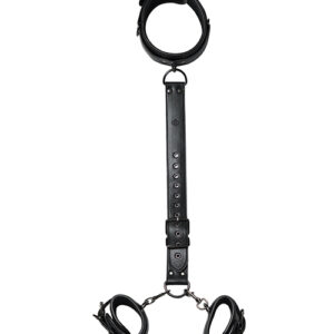 Kinky Play Box Locking Harness Collar to Wrist Restraints - Black — Power Play Studio
