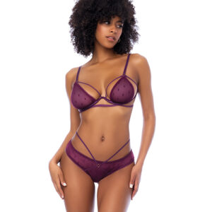 Dot Mesh Underwire Top w/Open Back Panty – Wine