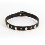 Fetish & Fashion Alina Collar - Black — Power Play Studio