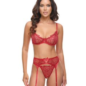 Mariah Embroidered Lace and Mesh Underwire Bra w/Garter & G-String 3 pc Set – Burgundy LG — Bra & Panty Sets at Power Play Studio
