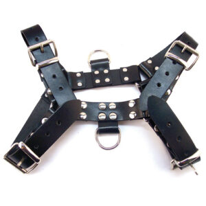 Rouge Over the Head Harness — Power Play Studio