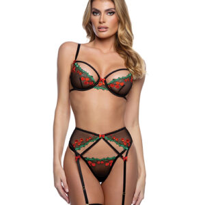 Cherry Delight Embroidered Lace and Mesh Underwire Bra w/Garter & G-String 3 pc Set — Power Play Studio