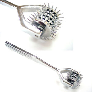 Stainless Steel Pinwheel X5 — Power Play Studio