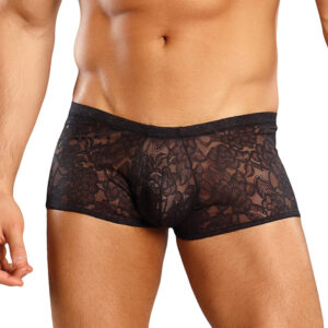 Male Power Stretch Lace Mini Short Black Lrg — Power Play Studio