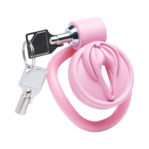 Master Series Vulva Locking Chastity Cage — Power Play Studio - Power Play Studio, LLC