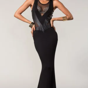 Sleeveless Body hugging Mesh Maxi Dress