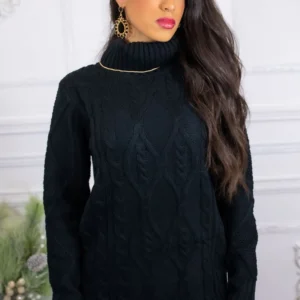 Nice and Warm Turtleneck Fitted Sweater