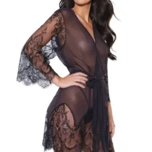 Coquette Sheer Nylon/Lace Robe with Sash - Power Play Studio, LLC