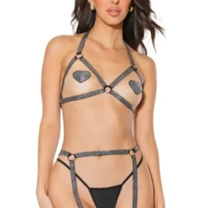 Coquette Harness bra & garter panty