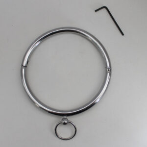 Rouge Stainless Steel Collar - Power Play Studio, LLC
