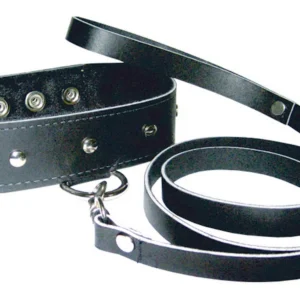 Premium Leather Leash & Collar